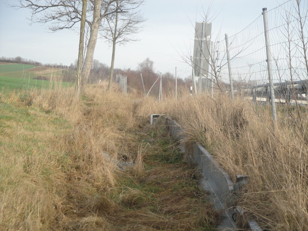DSC02242