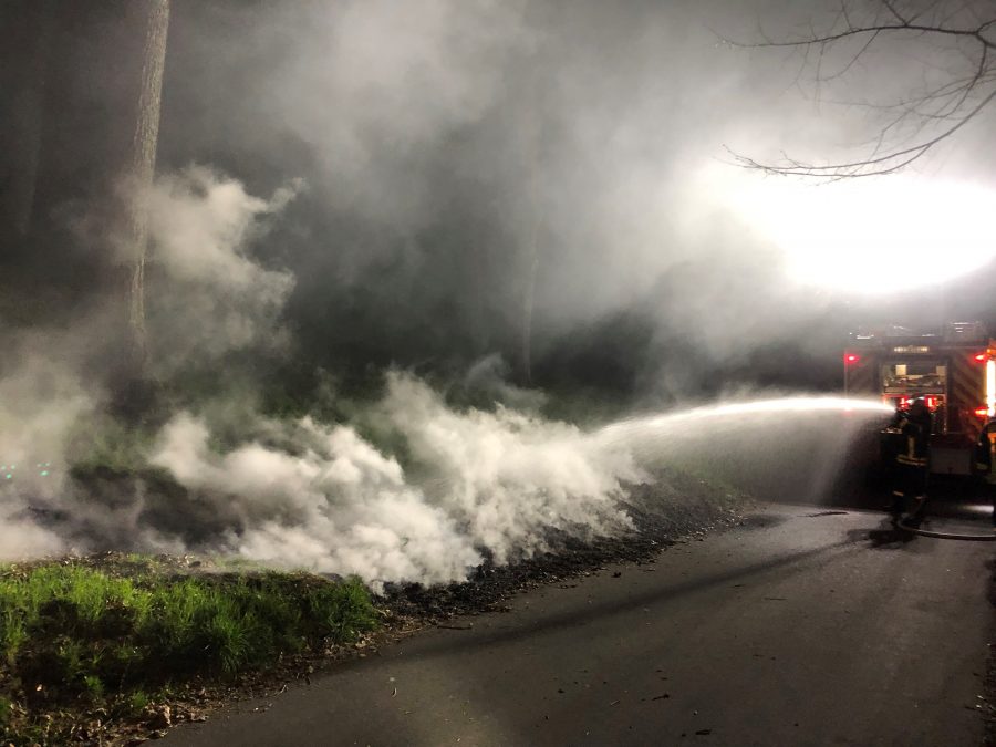 59.) Brand Freifläche