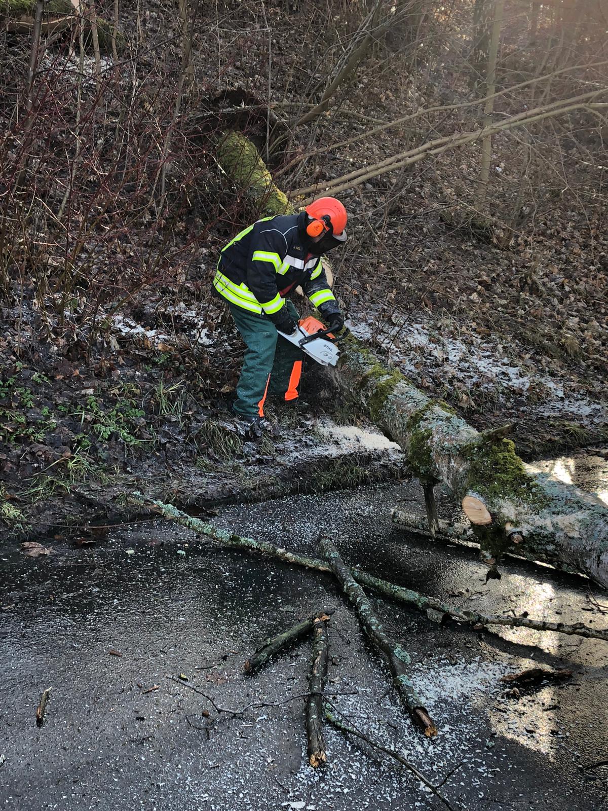 32.) THL – Baum auf Straße