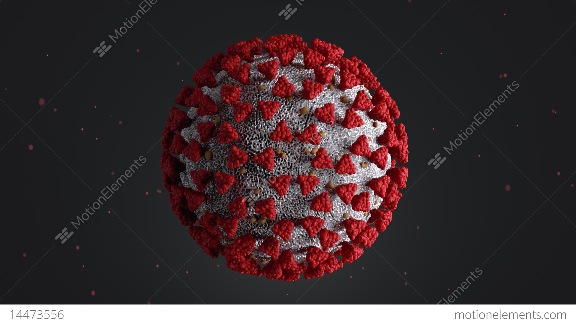 Coronavirus – Bereitstellung von Informationen