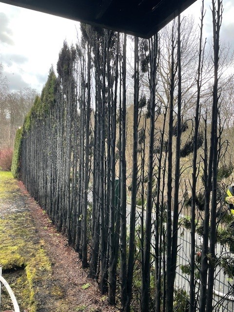 282.) B3 – Brand im Freien, am Gebäude